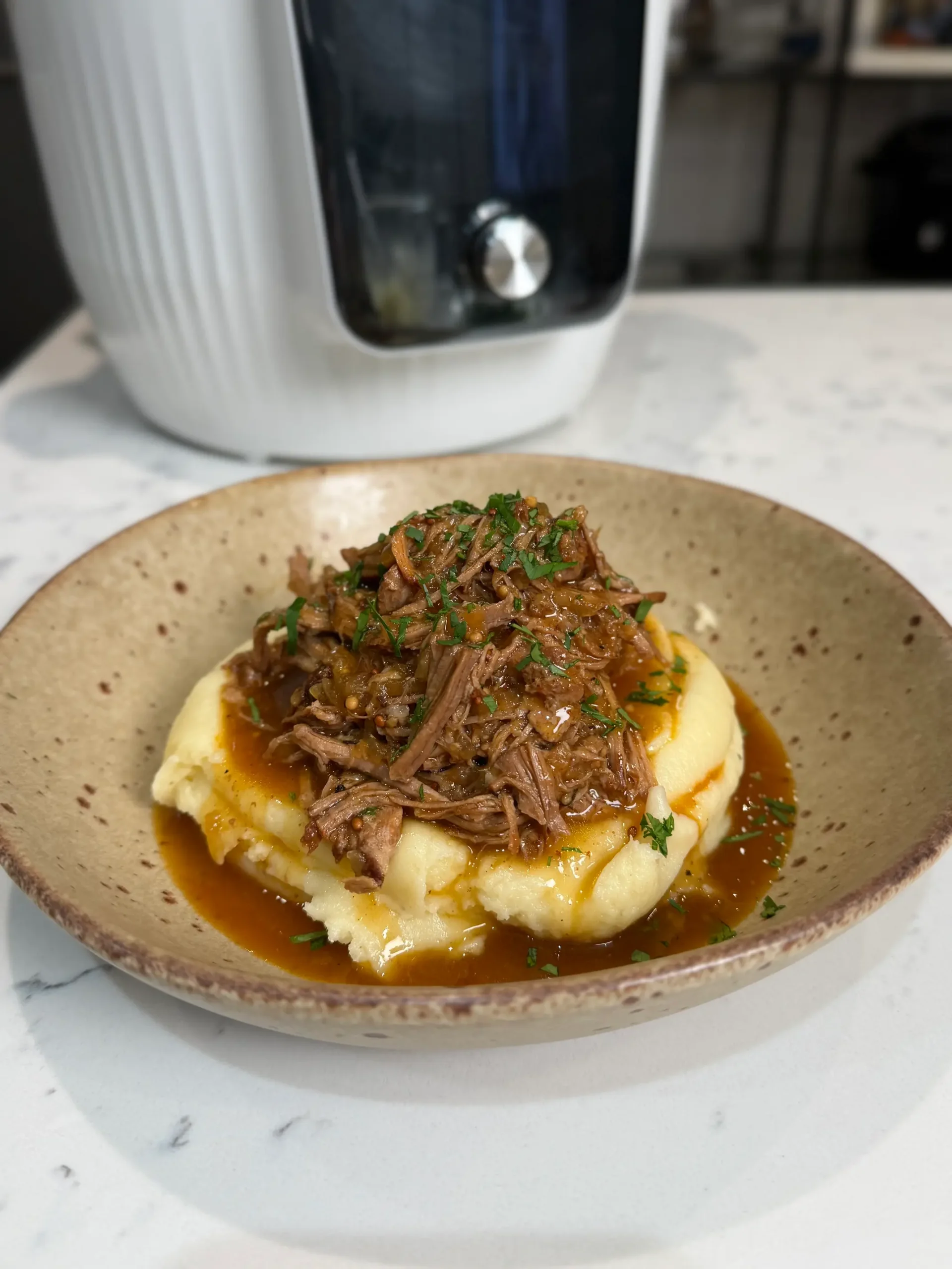 beer onion pulled pork